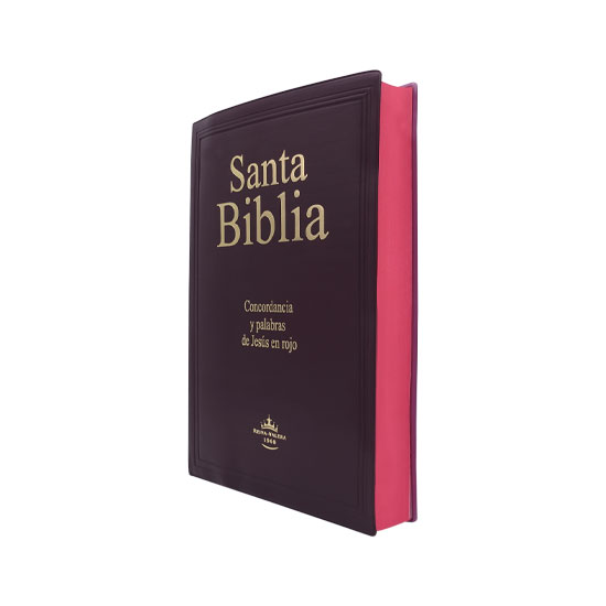 Biblia Reina Valera Letra Gigante Vino - Imagen 5