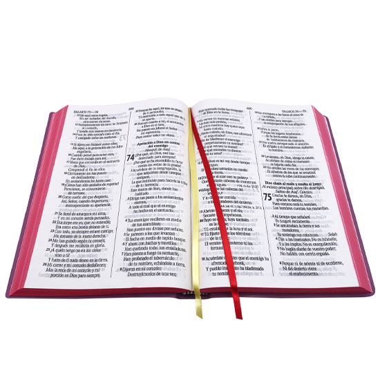 Biblia Reina Valera Letra Gigante Vino - Imagen 6