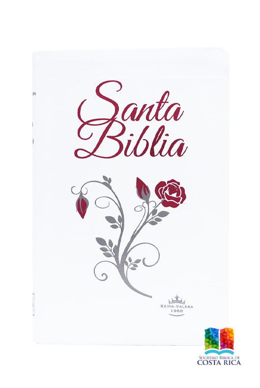 Biblia Blanca Canto Diseñado - Imagen 2