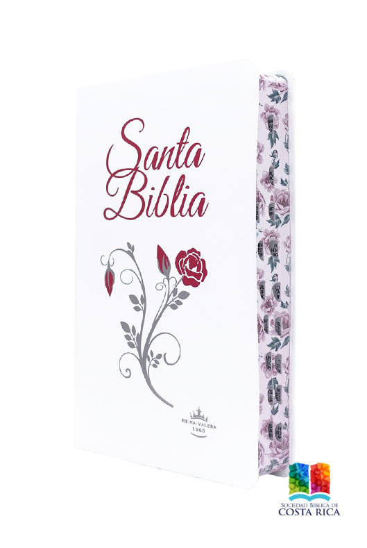 Biblia Blanca Canto Diseñado - Imagen 3