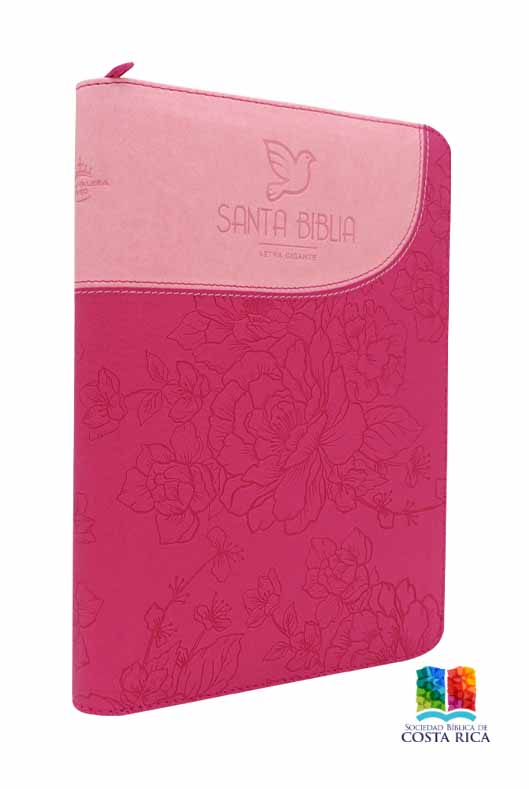 Biblia Rosa-Fucsia Letra Gigante