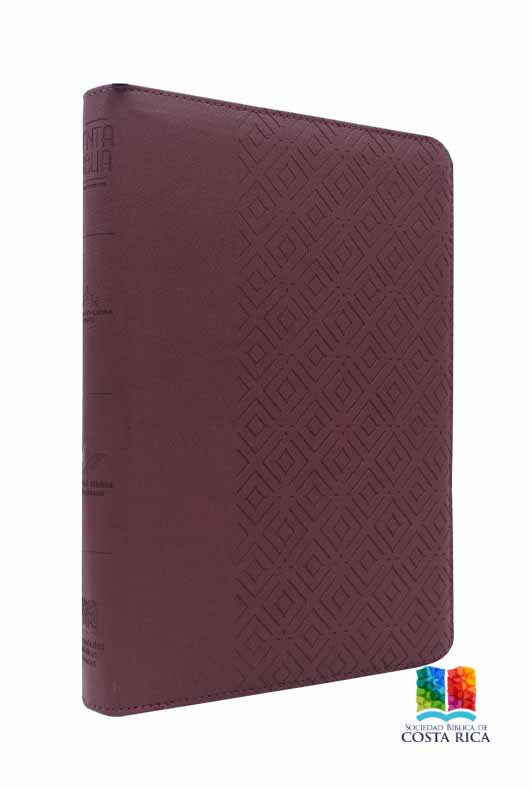 Biblia Reina Valera Letra Gigante Vino