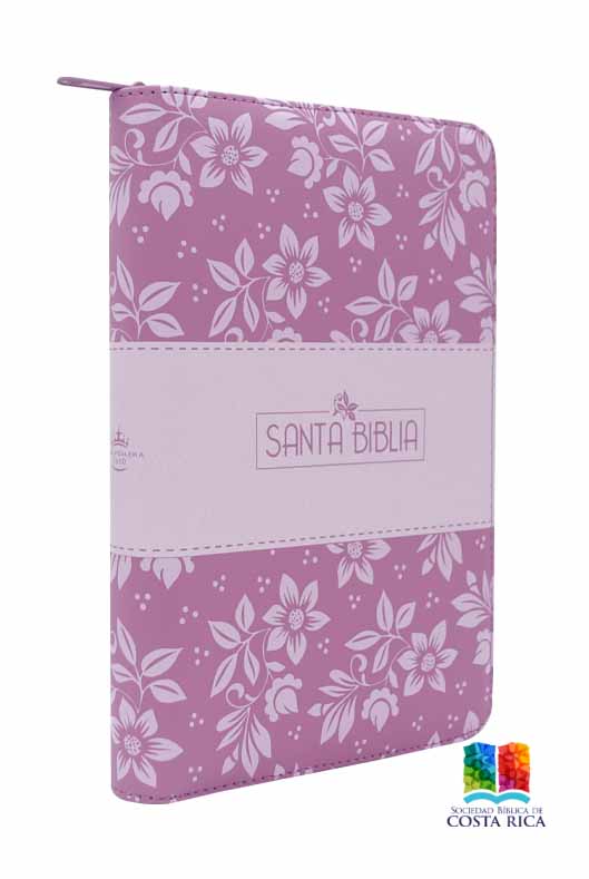 Biblia Reina Valera Rosa Letra Grande