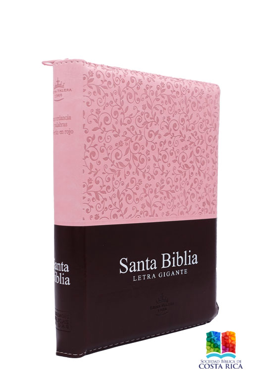 Biblia Reina Valera 60 Letra Gigante Rosa