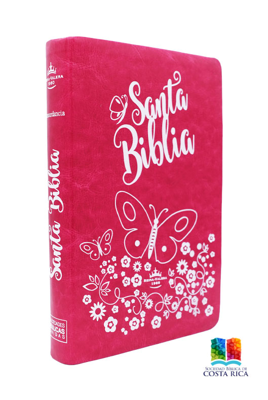Biblia Juvenil Reina Valera 1960 Letra Grande Fucsia