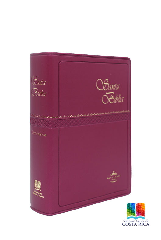 Biblia de Bolsillo Vinilo Color Vino