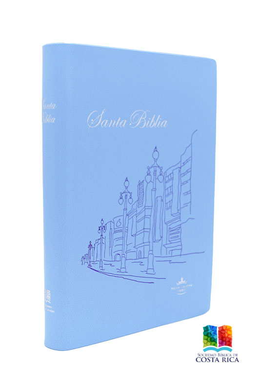Biblia Estilo Vinilo Celeste