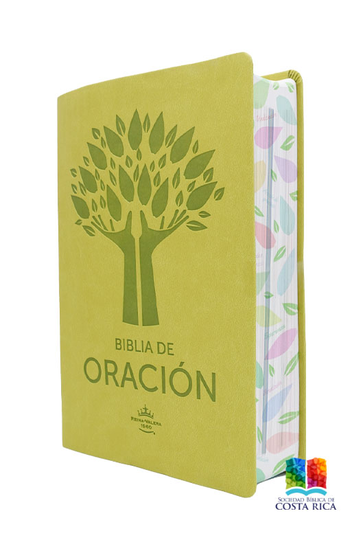 Biblia de Oración en Imitación Piel Color Verde - Imagen 3