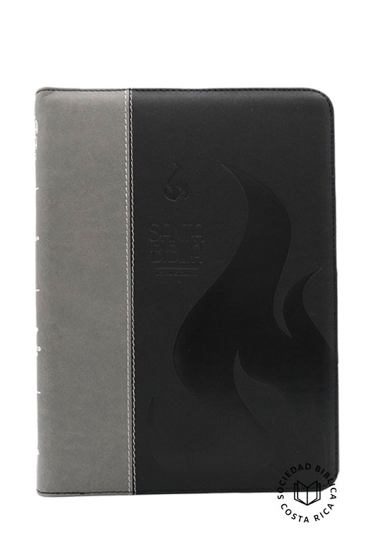 Biblia Letra Gigante Color Gris-Negro - Imagen 2