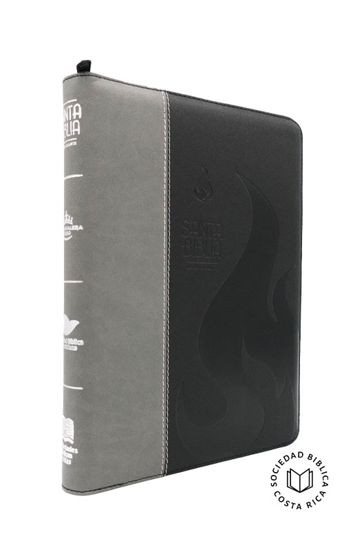 Biblia Letra Gigante Color Gris-Negro