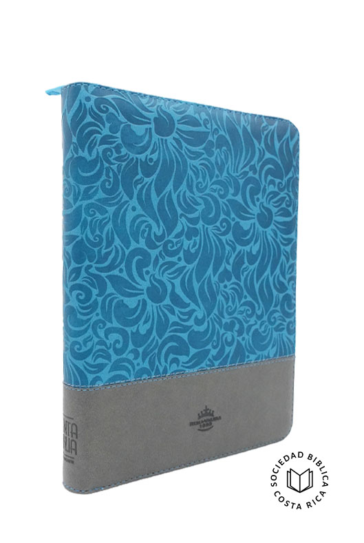 Biblia Letra Gigante Color Gris-Turquesa
