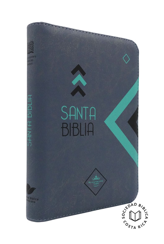 Biblia Letra Grande Gris con Detalles