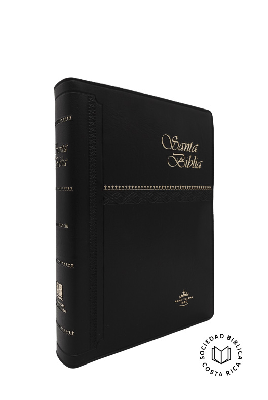 Biblia Reina Valera de Bolsillo Vinilo