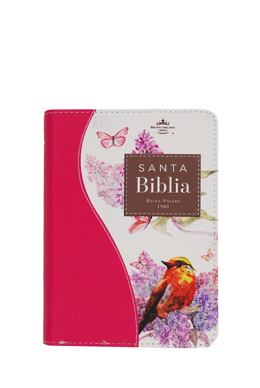 Biblia RVR1960 Renovación Fucsia, Imitación Piel