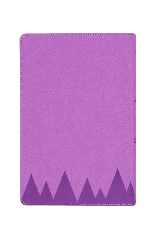 Biblia para Niños Exploradores, Lavanda Piel Reina Valera 1960 - Imagen 2