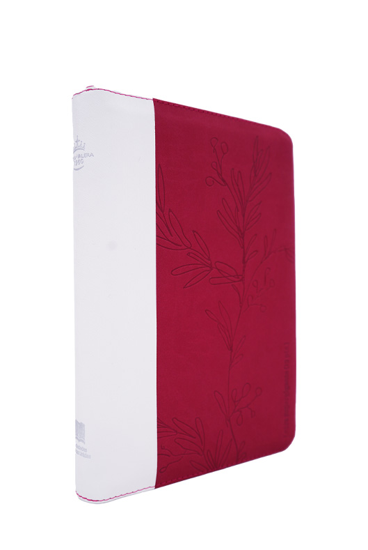 Biblia Reina Valera 1960 color Fucsia Blanco