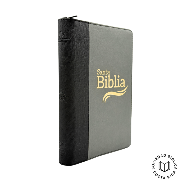 Santa Biblia Reina Valera 1960. Letra grande gris/negro