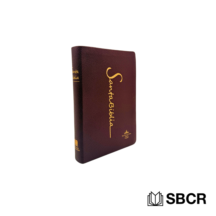 Biblia color vino en tapa vinil, Reina Valera 1960