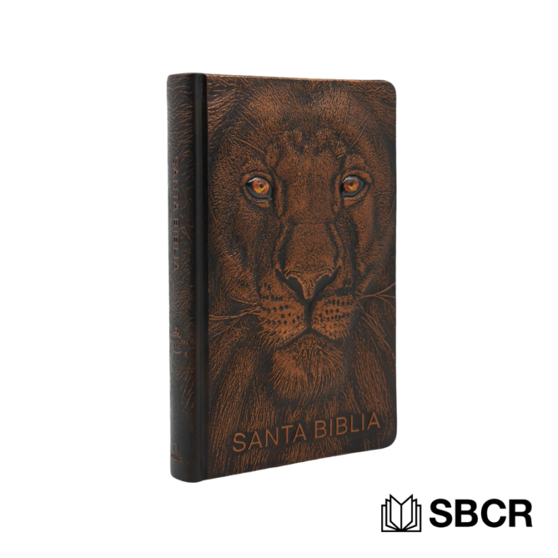 Biblia León de Judá, con relieve en 3D, edición especial