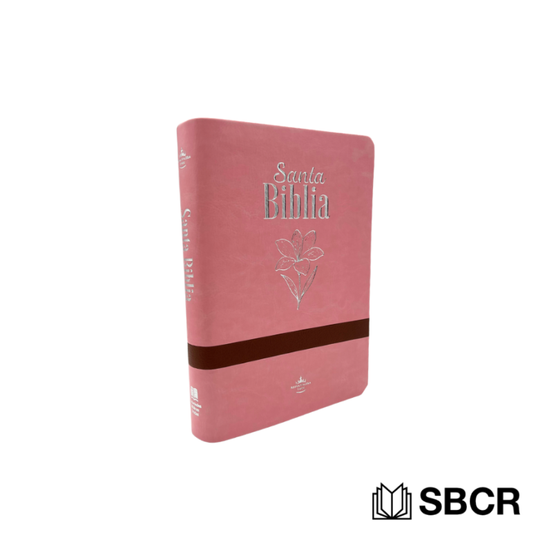 Biblia Reina Valera 1960, tapa imitación cuero color rosado con marrón