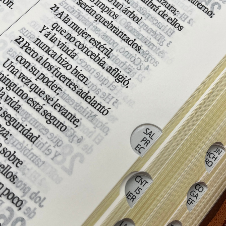 Biblia Reina Valera 1960 con estuche en color café diseño de corona e indice externo - Imagen 4