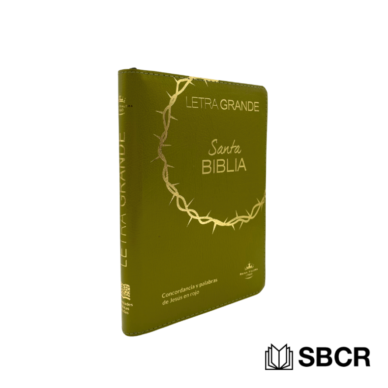 Biblia Reina Valera 1960 en diseño de corona con estuche en verde musgo e indice externo